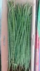 handmade-craft-arrivals1